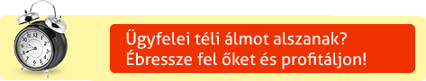 Ügyfelei téli álmot alszanak? -  Ébressze fel őket új honlapjával, webáruházával, vagy céges arculatával és profitáljon már januártól!